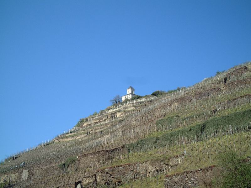 Mosel083