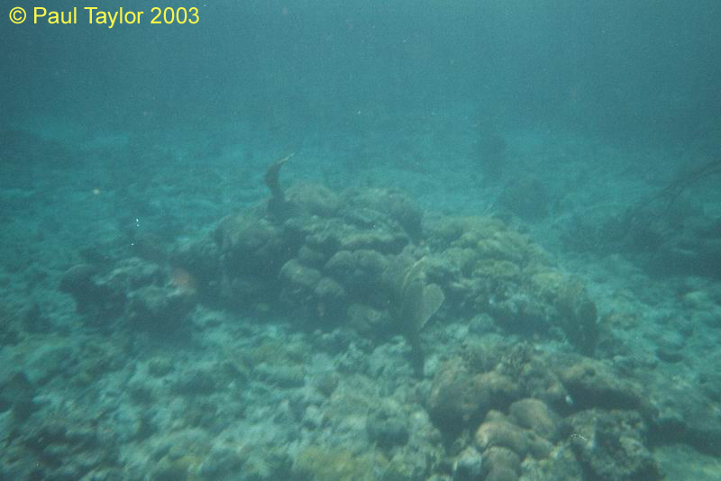 Underwater404