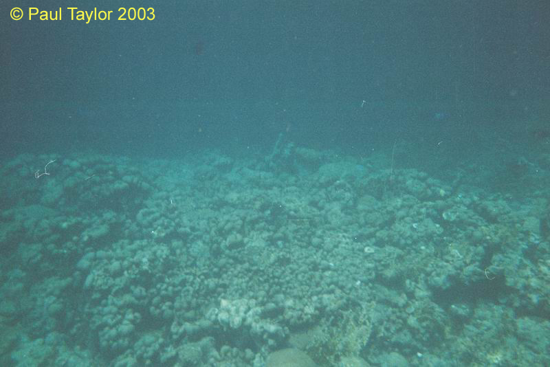 Underwater416