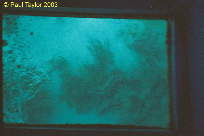 Underwater418